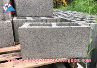 Gạch không nung 140x190x390