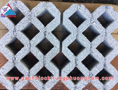 Gạch trồng cỏ 80x260x390